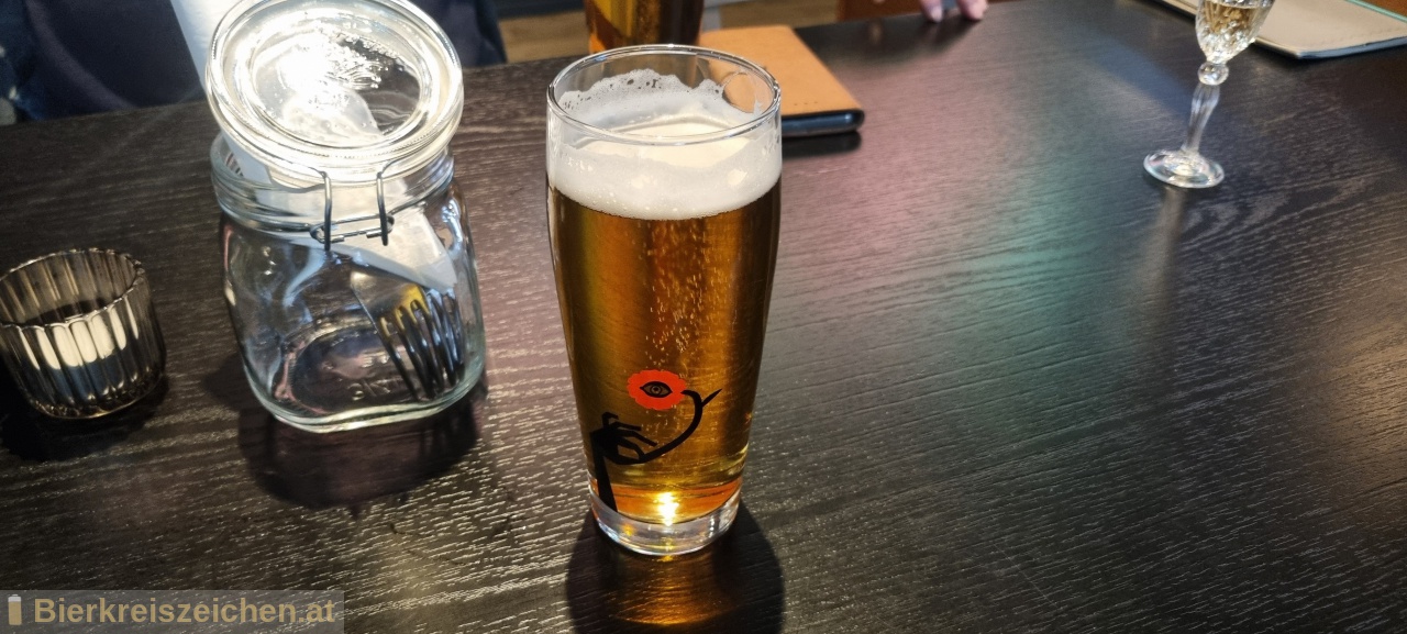 Foto eines Bieres der Marke Stiegl Goldbru aus der Brauerei Stieglbrauerei