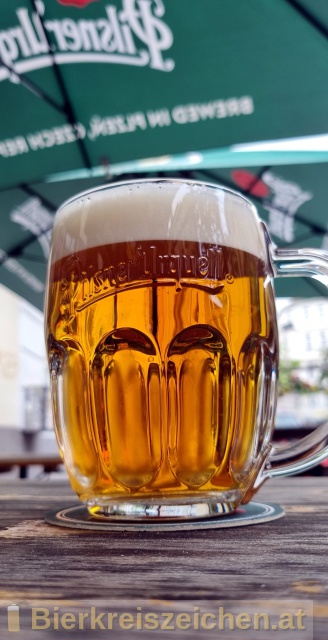 Foto eines Bieres der Marke Pilsner Urquell aus der Brauerei Plzensky Prazdroj