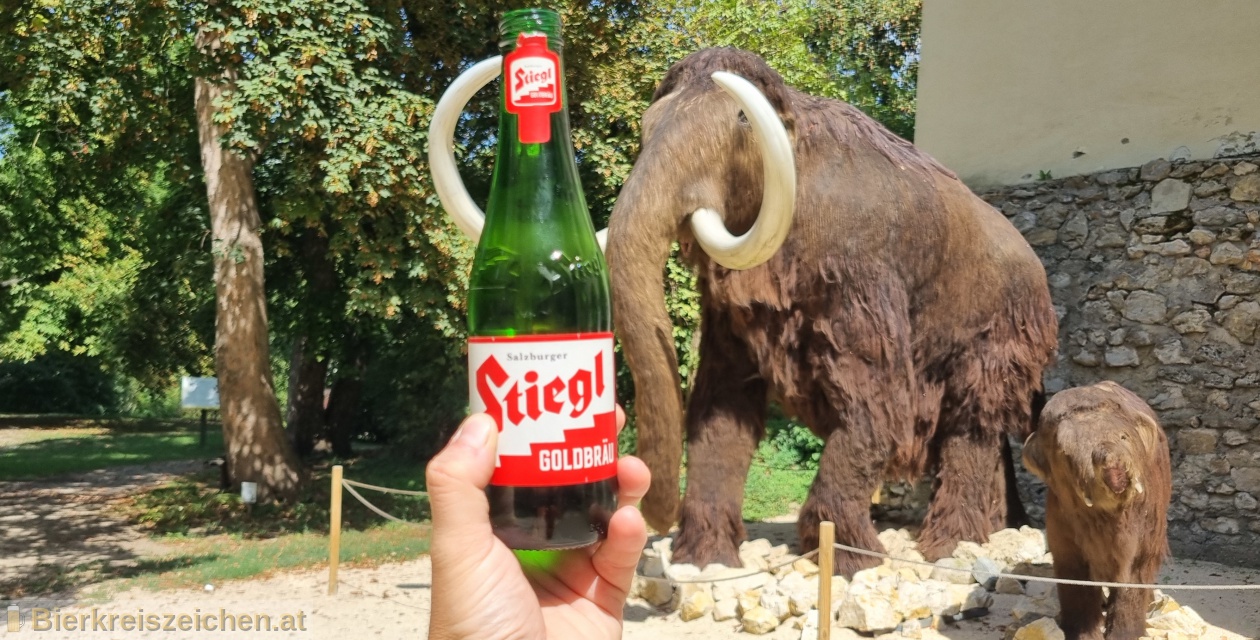 Foto eines Bieres der Marke Stiegl Goldbru aus der Brauerei Stieglbrauerei