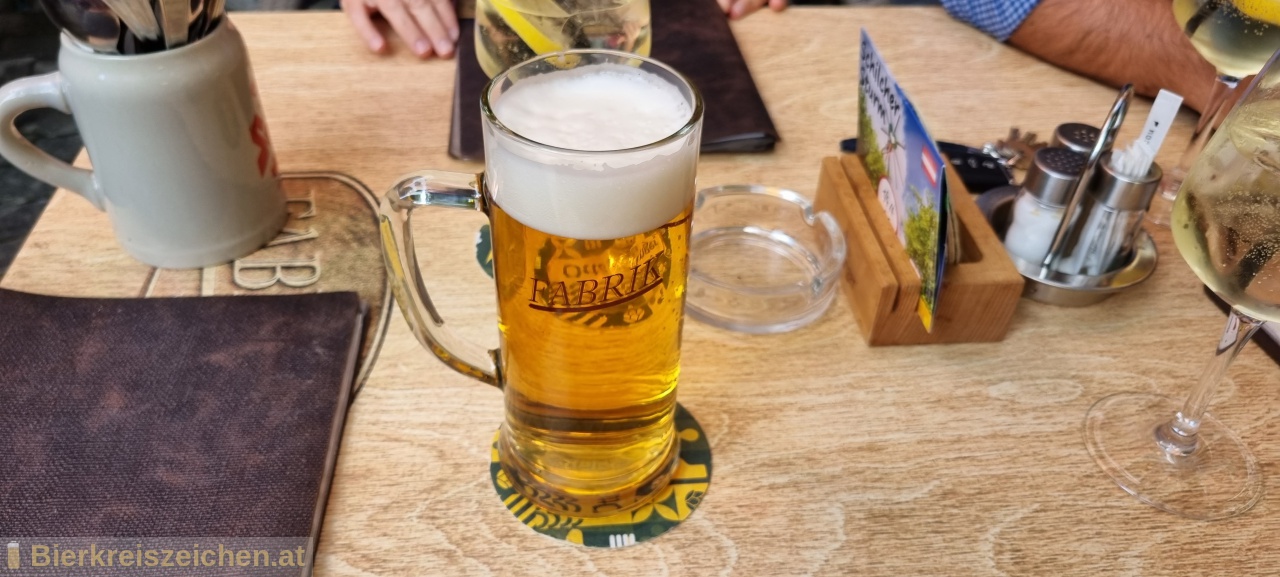 Foto eines Bieres der Marke Hausbier leicht aus der Brauerei Braugasthof Fabrik Vsendorf