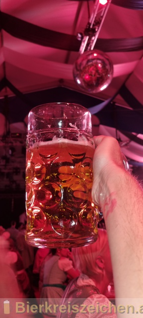 Foto eines Bieres der Marke Wieselburger Gold aus der Brauerei Brauerei Wieselburg