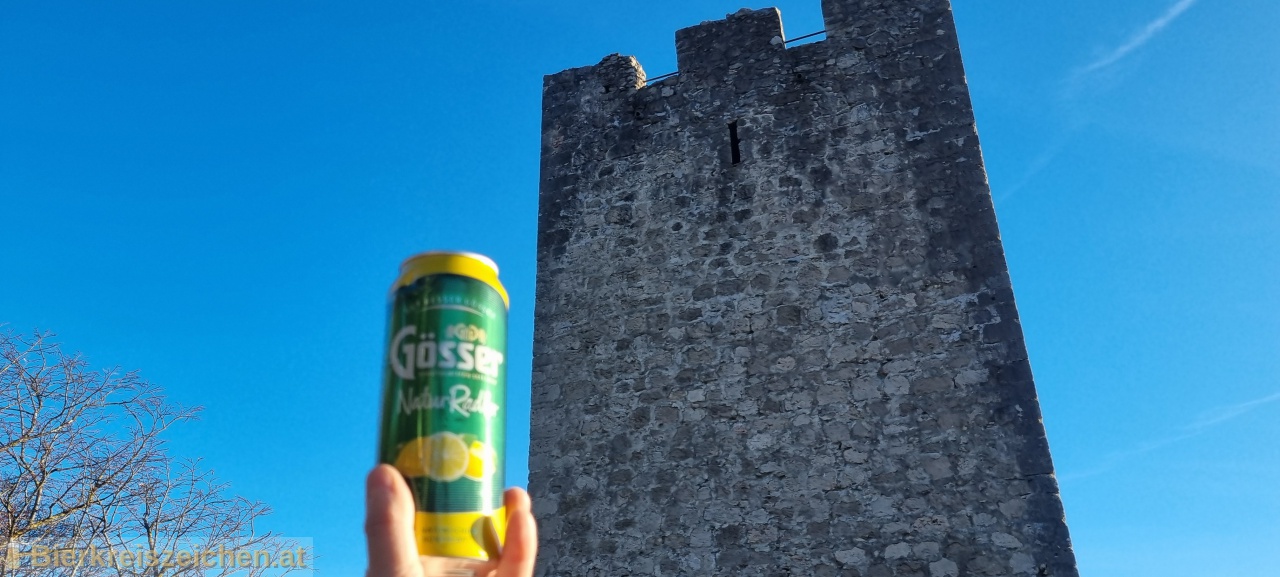 Foto eines Bieres der Marke Gsser NaturRadler aus der Brauerei Brauerei Gss